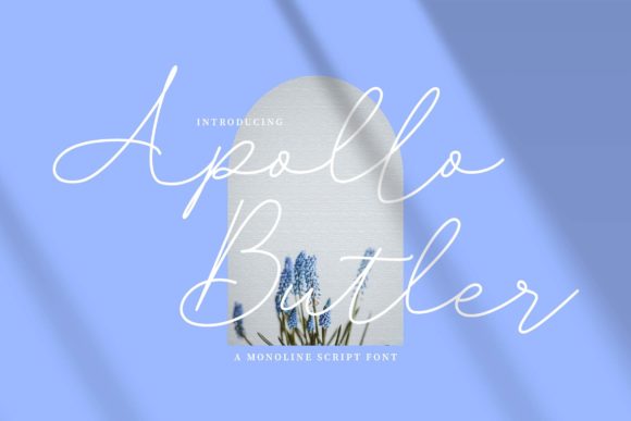 A Deep Dive into the Apollo Butler Font