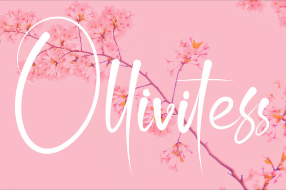 Where the Ollivitess Script Font Truly Shines