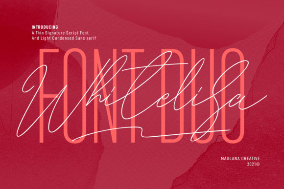 Whitelisa: A Duo Font for Friendly, Branded Design